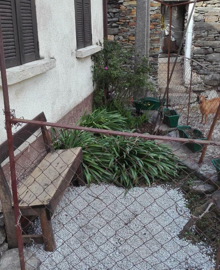 Apartament Casa Bernaldo Covas do Monte Zewnętrze zdjęcie